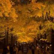 春野なずな 紅葉🍁 HYPER TOKYO