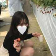 ヒメ日記 2026/04/20 14:35 投稿 春野なずな HYPER TOKYO