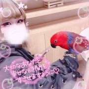 ヒメ日記 2025/09/01 01:59 投稿 らら スピードエコ日本橋店