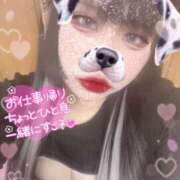 ヒメ日記 2025/09/01 17:41 投稿 らら スピードエコ日本橋店