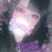 ヒメ日記 2026/04/01 09:40 投稿 らら スピードエコ日本橋店