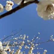 ヒメ日記 2026/03/11 08:58 投稿 真琴(まこと) 五十路エステハイブリッド(カサブランカグループ)