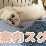 ヒメ日記 2025/09/05 19:48 投稿 るい VIVIDCREW 梅田堂山店