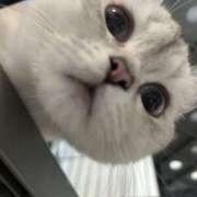 ヒメ日記 2025/10/14 19:05 投稿 るい VIVIDCREW 梅田堂山店