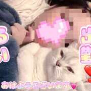 ヒメ日記 2025/10/22 14:53 投稿 るい VIVIDCREW 梅田堂山店