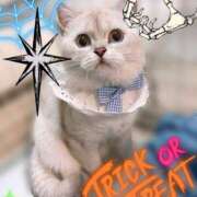 ヒメ日記 2025/11/01 00:04 投稿 るい VIVIDCREW 梅田堂山店