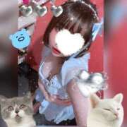 ヒメ日記 2025/11/13 04:02 投稿 るい VIVIDCREW 梅田堂山店