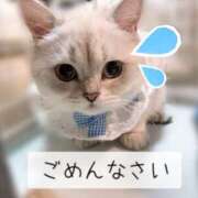 ヒメ日記 2025/11/13 12:52 投稿 るい VIVIDCREW 梅田堂山店