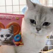 ヒメ日記 2025/11/29 17:18 投稿 るい VIVIDCREW 梅田堂山店