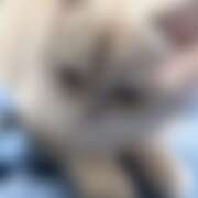 ヒメ日記 2025/12/11 05:53 投稿 るい VIVIDCREW 梅田堂山店