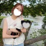 ヒメ日記 2025/09/24 16:06 投稿 ひなの★S級人妻！旅館若女将★ Bell～S級美女お姉様・人妻デリヘル～