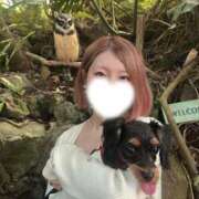 ヒメ日記 2025/10/15 21:03 投稿 ひなの★S級人妻！旅館若女将★ Bell～S級美女お姉様・人妻デリヘル～