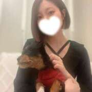 ヒメ日記 2025/10/21 21:21 投稿 ひなの★S級人妻！旅館若女将★ Bell～S級美女お姉様・人妻デリヘル～