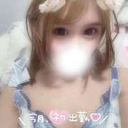 ヒメ日記 2026/01/17 16:55 投稿 雨音ゆめ Claris Tokyo～クラリス東京～