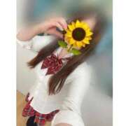 白濱ノエル 👩‍🏫出勤しましたッ👩‍🎓 手コキ研修塾