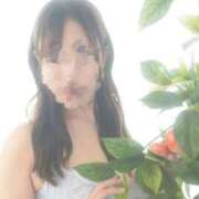 ヒメ日記 2025/11/25 19:56 投稿 ちな 池袋ぱんぷきん（シンデレラグループ）