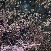 りさ 出勤します！ 府中ダービー