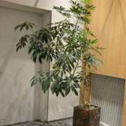 ヒメ日記 2025/09/08 14:34 投稿 伊世 東京人妻フォーシーズンズ