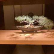 ヒメ日記 2025/10/16 22:14 投稿 伊世 東京人妻フォーシーズンズ