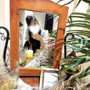 ヒメ日記 2025/08/27 09:46 投稿 皆月るるな アロマピュアン錦糸町（シンデレラグループ）