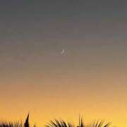 ヒメ日記 2025/10/05 11:10 投稿 みかさ アラカルト