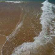 ヒメ日記 2025/10/07 14:00 投稿 みかさ アラカルト