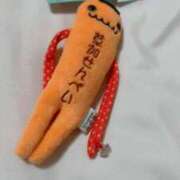 ヒメ日記 2025/11/16 13:45 投稿 ひなた TALENT（タレント）