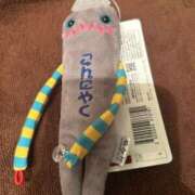 ヒメ日記 2025/12/31 12:02 投稿 ひなた TALENT（タレント）