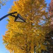 しずく☆アイドルオーディーション 綺麗🍁🍂 OKINI八王子