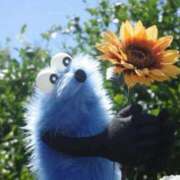 ヒメ日記 2025/09/03 03:00 投稿 つばさ 風俗の神様　浜松店