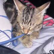 ヒメ日記 2025/09/06 13:50 投稿 つばさ 風俗の神様　浜松店