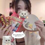 ヒメ日記 2026/01/21 22:57 投稿 ねねこ 土浦ハッピーマットパラダイス