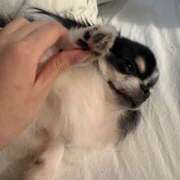 ヒメ日記 2026/04/16 12:43 投稿 るん ハピネス＆ドリーム福岡