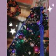 ヒメ日記 2025/11/25 14:44 投稿 本田りえ ESTE ALLURE