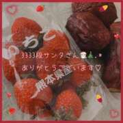 ヒメ日記 2025/12/23 16:14 投稿 本田りえ ESTE ALLURE