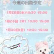 ヒメ日記 2026/01/28 11:21 投稿 本田りえ ESTE ALLURE