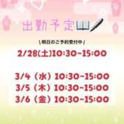 ヒメ日記 2026/02/28 08:01 投稿 本田りえ ESTE ALLURE