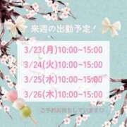 ヒメ日記 2026/03/18 11:11 投稿 本田りえ ESTE ALLURE