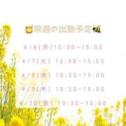 ヒメ日記 2026/04/01 15:54 投稿 本田りえ ESTE ALLURE