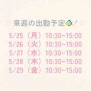 ヒメ日記 2026/05/22 15:06 投稿 本田りえ ESTE ALLURE