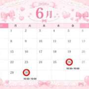 本田りえ よてい🗓۟ ࣭ ⭒ ♡ ֹ ᮫ ESTE ALLURE