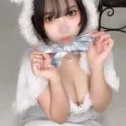 ヒメ日記 2025/11/26 07:18 投稿 てまり【ゴールドアロー】 Arrows 苫小牧・千歳店