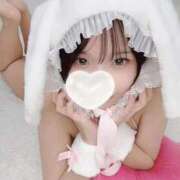 ヒメ日記 2026/02/15 17:28 投稿 てまり【ゴールドアロー】 Arrows 苫小牧・千歳店