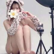 ヒメ日記 2026/03/11 12:18 投稿 てまり【ゴールドアロー】 Arrows 苫小牧・千歳店