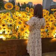 ヒメ日記 2026/08/16 13:19 投稿 ひな 横浜人妻セレブリティ（ユメオト）