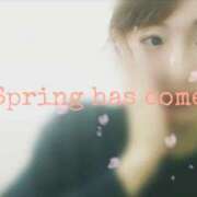 ヒメ日記 2026/03/03 22:14 投稿 せな 池袋おかあさん