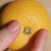 ヒメ日記 2026/03/10 22:54 投稿 せな 池袋おかあさん