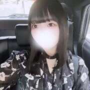 ヒメ日記 2025/11/08 12:36 投稿 もあ 石庭