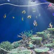 ヒメ日記 2025/12/21 23:56 投稿 亜澄 久留米デリヘルセンター