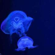 ヒメ日記 2026/01/15 22:56 投稿 亜澄 久留米デリヘルセンター